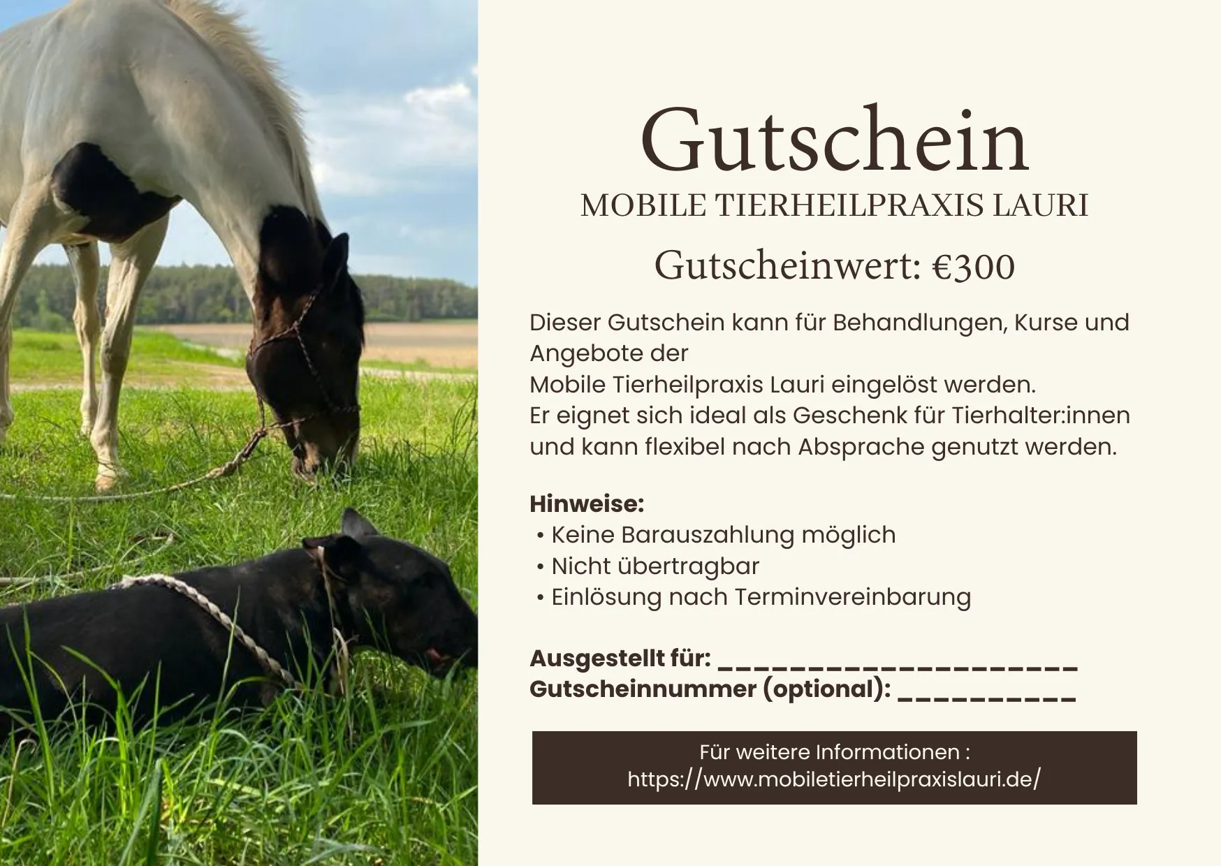 Gutschein 300 Euro